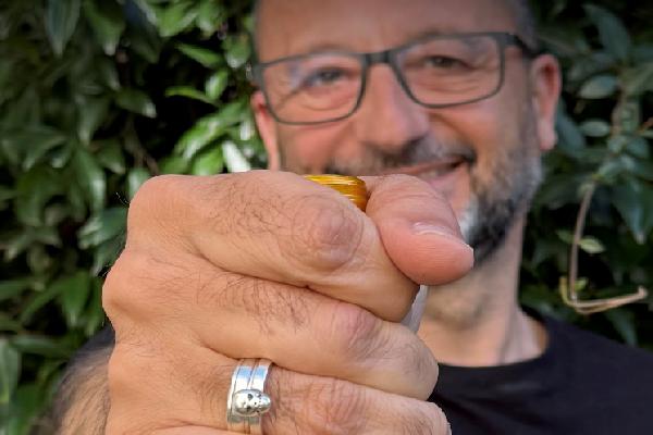 'La première fois, on s'est planté', vins désalcoolisés : attention aux contaminations !