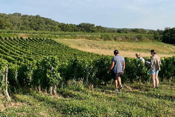 Une formule originale pour convertir les vignes bios