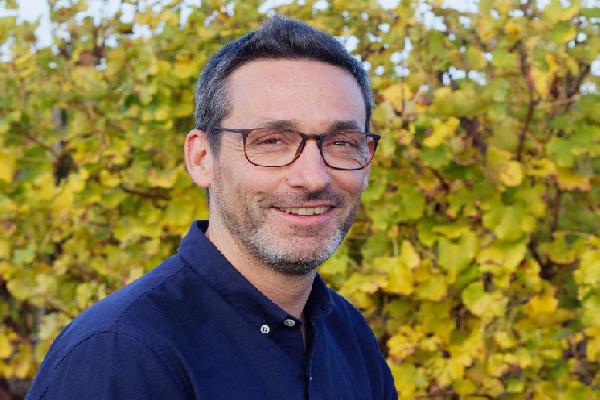 -50 % de symptômes : réduire l’inoculum du mildiou dans les vignes, ça paye !