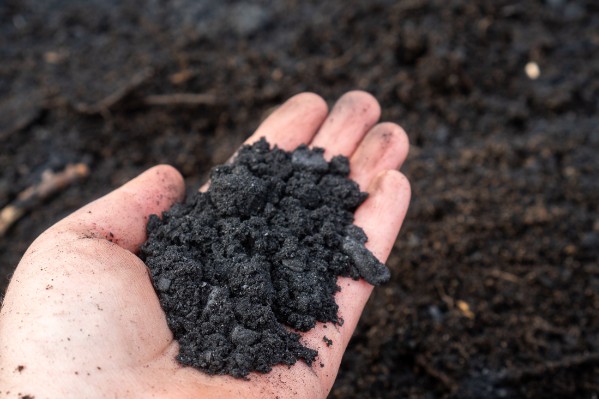 Le biochar amendement viticole prometteur