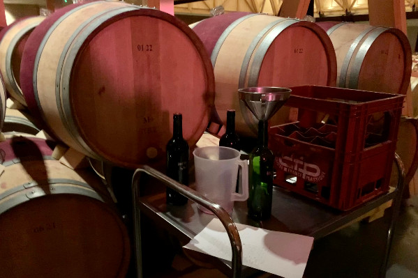 Appel à -31 % de prix des primeurs 2024 pour relance les vins de Bordeaux