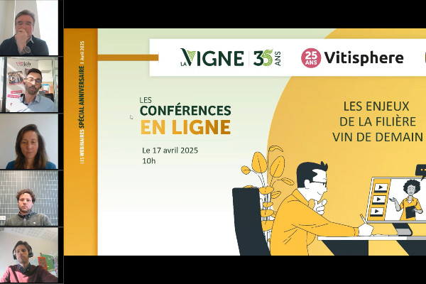 Stratégie de marque, innovation, différenciation, les clés d'avenir pour les vins français à l'export ?