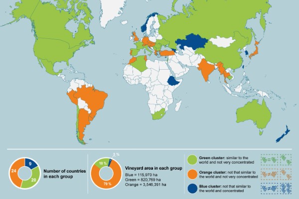 Cabernet, Chardonnay & Co : comment quelques cépages règnent sur la planète vin