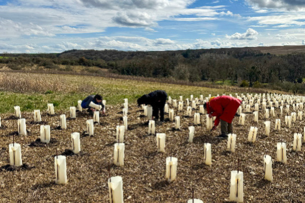 La lutte sans répit des vignes non-AOC de Champagne en conflits judiciaires et de voisinage