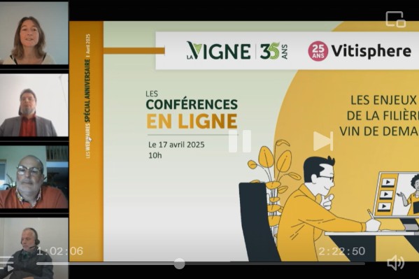 375 phytos autorisés sur vigne, est-ce assez ?