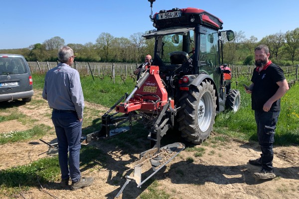 Avec Skiterre, désherbez les vignes de manière originale