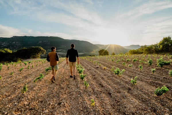 Ce qu'il y a derrière les vins 'super bios' de Pierre & Antonin