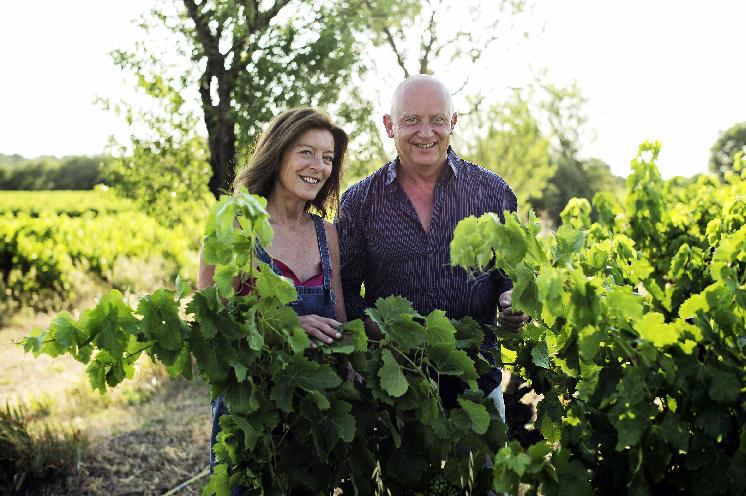 3 écolabels bons pour l’image de la viticulture