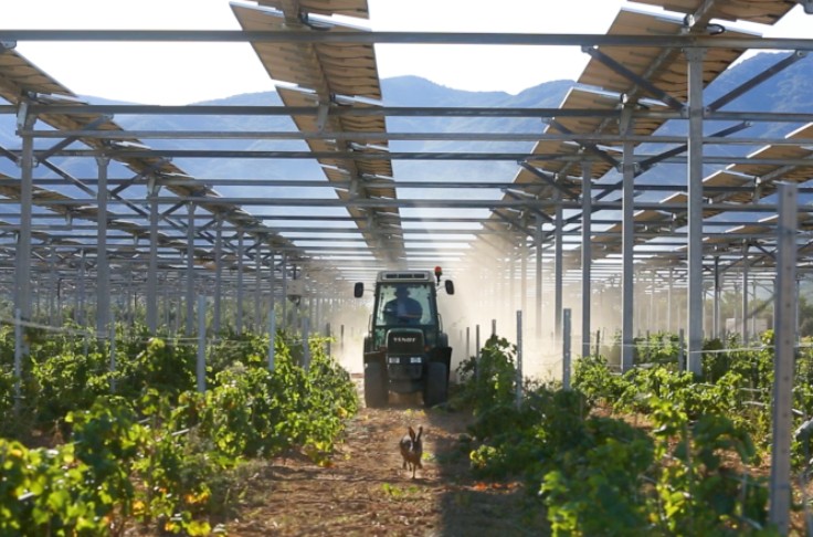 La recette pour un mariage réussi entre agriculture et photovoltaïsme  