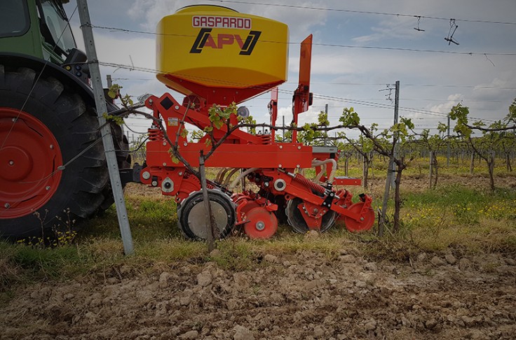 Maschio Gaspardo sème l’inter-rang des vignes étroites