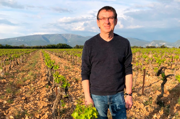 Des levures pour booster la vigne