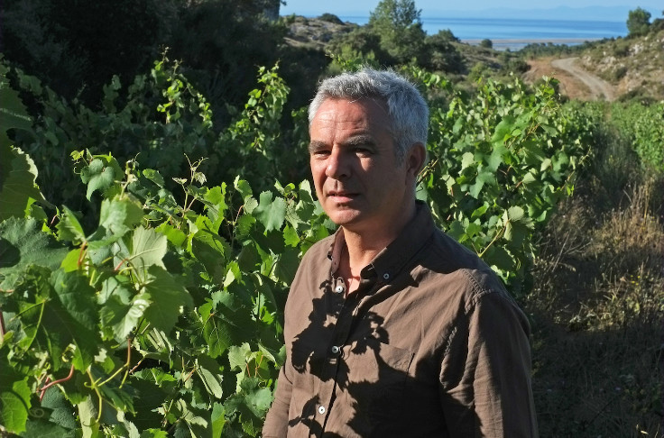 L’interprofession du Languedoc tend la main, et l'oreille, aux vins AOC sécessionnistes