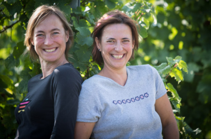 Le vignoble alsacien craint une sécheresse estivale