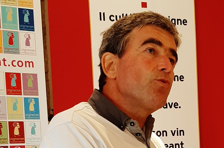 Des ventes 2022 sur la bonne pente pour les vignerons d'Alsace