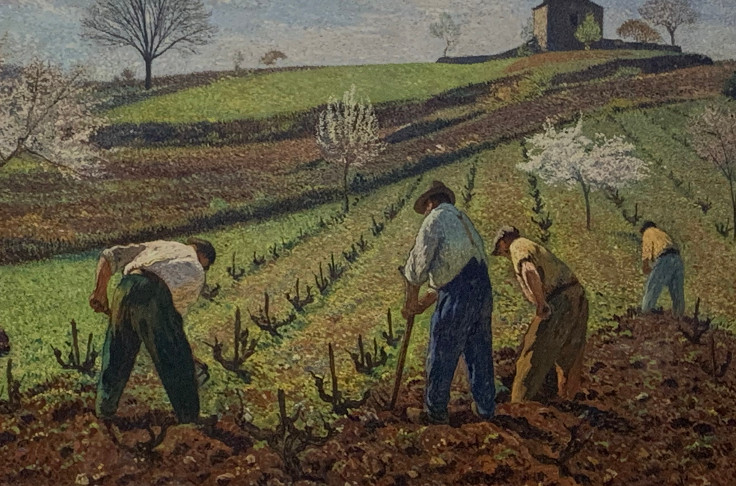 L'optimisme se dispute à la prudence dans le vignoble de Cahors