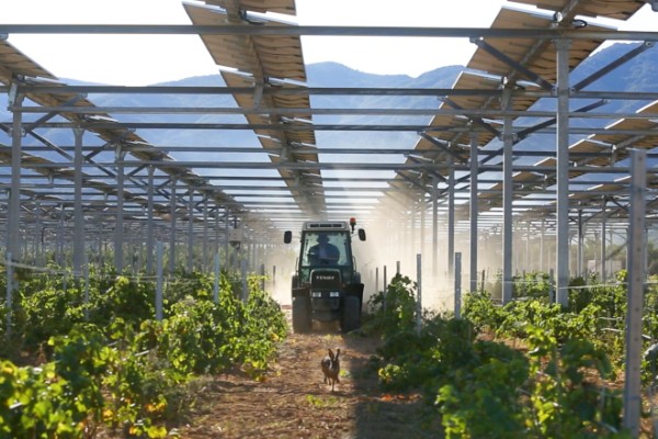 La recette pour un mariage réussi entre agriculture et photovoltaïsme  