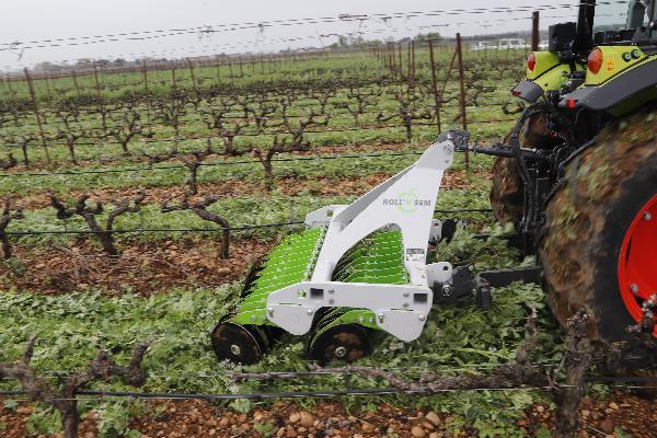  Six rouleaux de destruction des couverts à l'épreuve dans les vignes