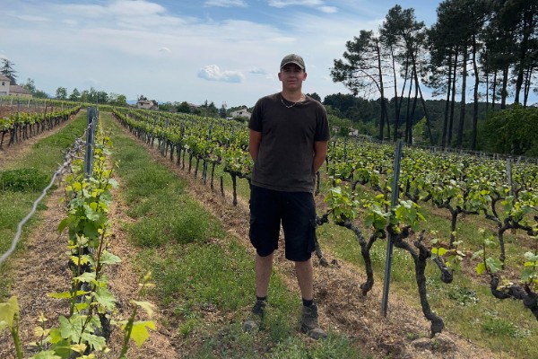  Le dithianon plébiscité dans le vignoble pour lutter contre le mildiou et le black-rot