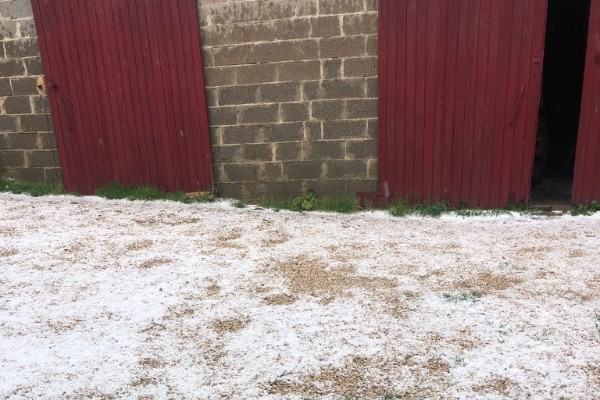 Orages de grêle sur les vignes du Beaujolais, de Bourgogne et d'Alsace