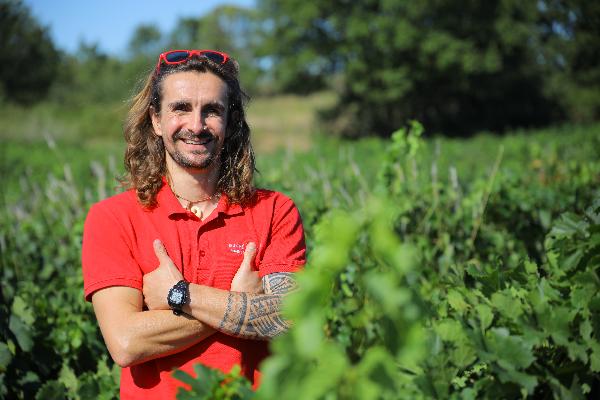 Premiers signes de ralentissement commercial des vins bios