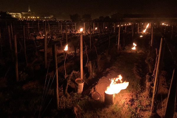'D’une grande ampleur', le travail sur la réforme de l’assurance récolte se poursuit