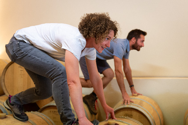 De la création d'une marque 'spin-off' dans le vin   