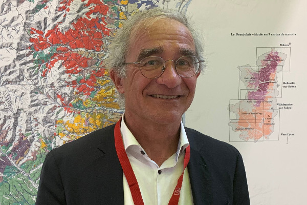 'Le Beaujolais n’est plus un vignoble de volume : produisons moins et valorisons mieux'
