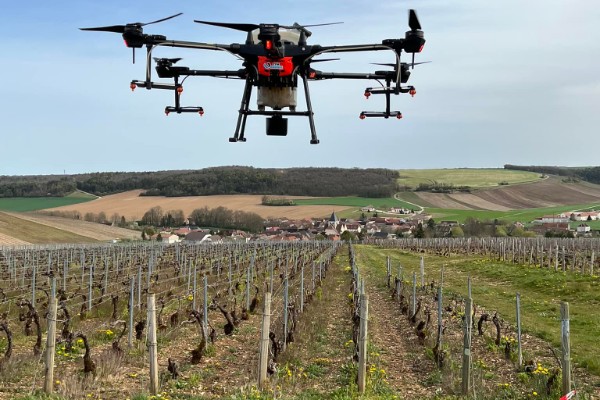 Cette société réalise de la prestation viticole par drone