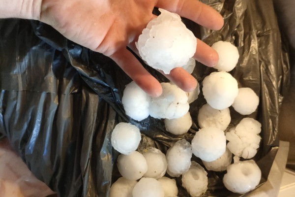 La grêle s'abat sur les vignes des Landes