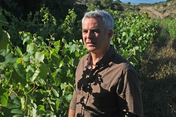 L’interprofession du Languedoc tend la main, et l'oreille, aux vins AOC sécessionnistes
