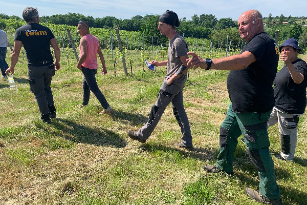 La vigne, 'super support' de retour à l’emploi