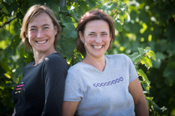 Le vignoble alsacien craint une sécheresse estivale