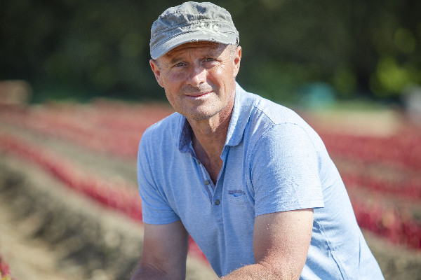 'Il faut arrêter de parler du prix du plant de vigne'