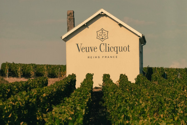 Veuve Clicquot fête ses 250 ans et dévoile ses idées d'avenir