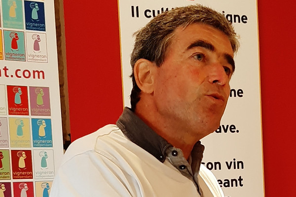Des ventes 2022 sur la bonne pente pour les vignerons d'Alsace