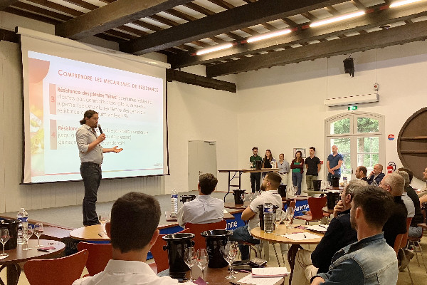 Des vins 'bluffants' issus de variétés résistantes