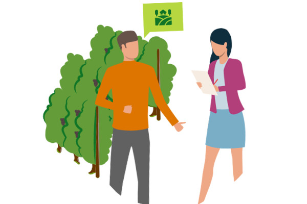 L'écart se creuse entre le prix des vignes de Champagne