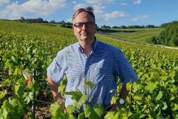 'La HVE a vocation à certifier la viticulture conventionnelle', pas à devenir bio