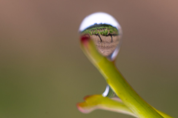 Nécessité et difficultés de mettre de l'eau dans son vin et ses lois