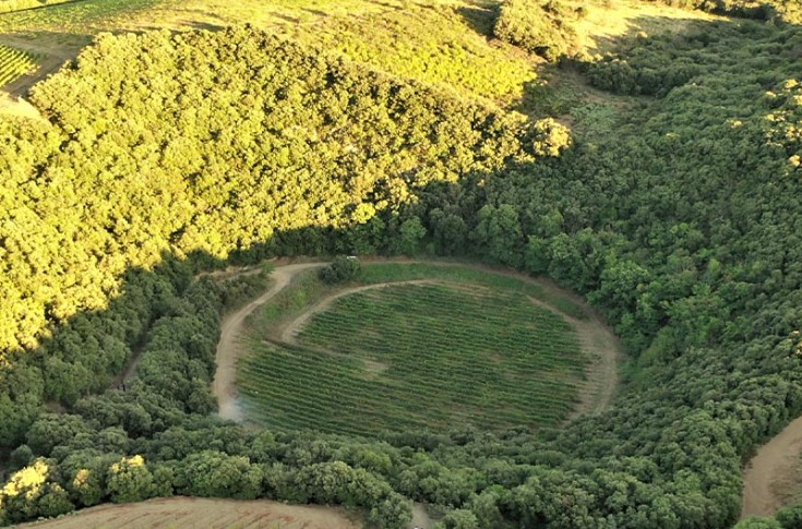 Ces vignes sont bien plantées sur un cratère de météorite