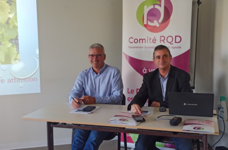 Les vignerons du Languedoc vont planter des blancs, des rouges à rosé, et des résistants 