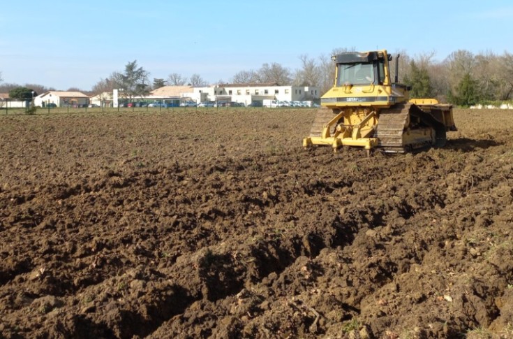 Bordeaux se prépare à planter son « vignoble de demain »