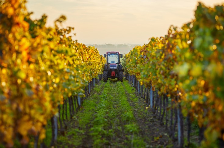 Combien de tracteurs interlignes et d’enjambeurs vignerons vendus en 2022 ?