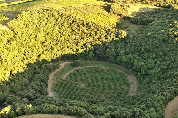 Ces vignes sont bien plantées sur un cratère de météorite