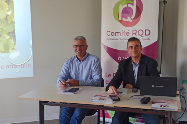 Les vignerons du Languedoc vont planter des blancs, des rouges à rosé, et des résistants 