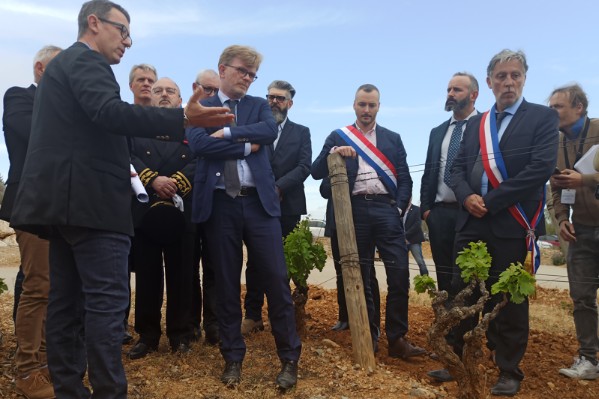 Les plans de Marc Fesneau pour apporter de l’eau au vignoble