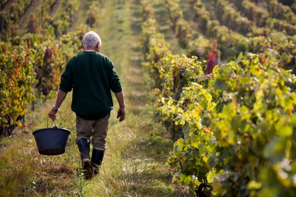 Du GNR au matériel de cave... Tout un tas de produits vitis à prix réduits 
