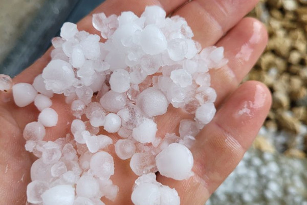 La grêle s’invite entre les vignobles de Chinon et du Saumurois
