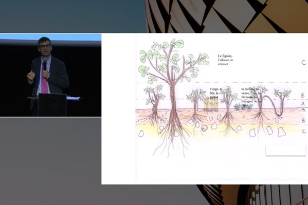 Une leçon de viticulture durable par les Grecs anciens