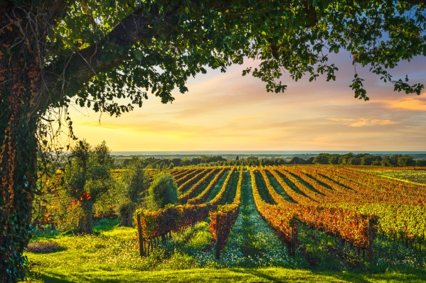 « La fertilité ça ne s’achète pas, ça se produit à la parcelle ! »